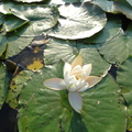 DSC01077